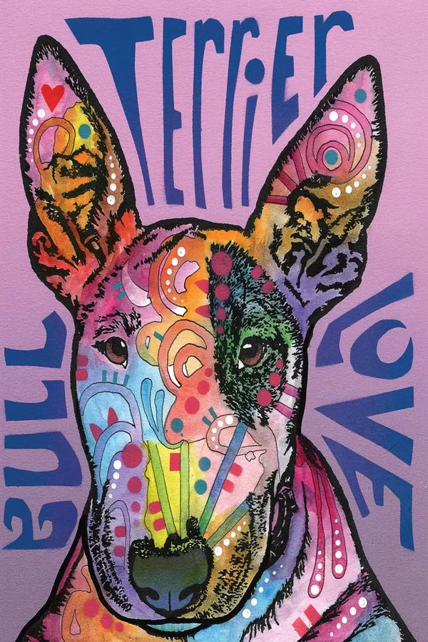Miniature Bull Terriers
