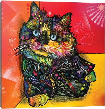Albert The Baby Cat Canvas Art Print - Kitten Art
