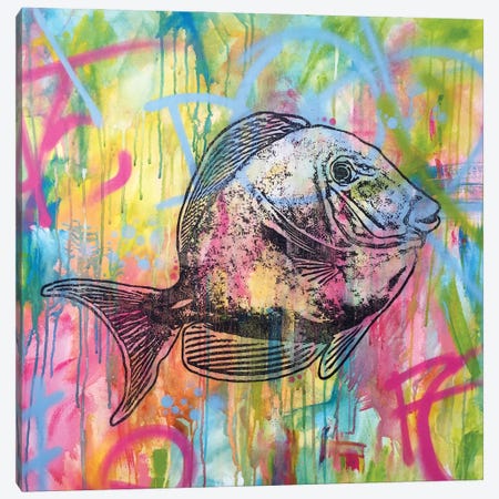 Fishy Spray Canvas Print #DRO226} by Dean Russo Canvas Wall Art