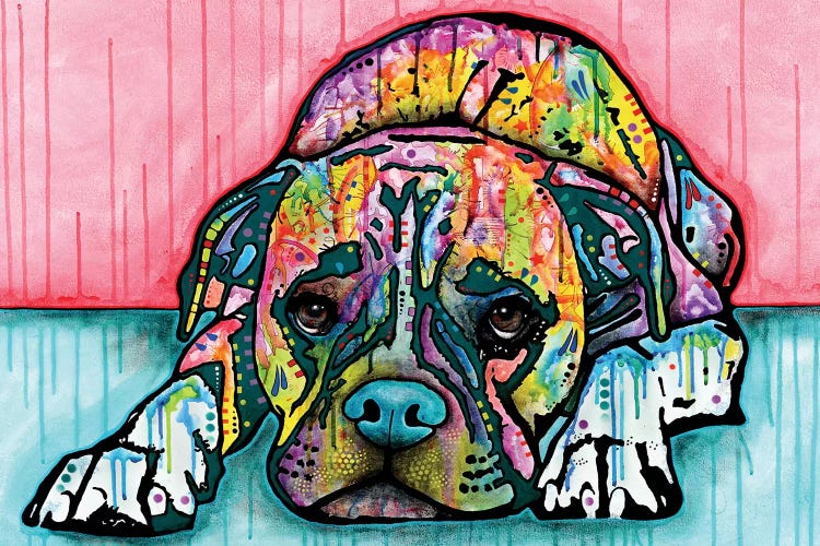 Lying Boxer
