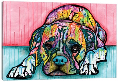 Lying Boxer Canvas Art Print - Pet Industry