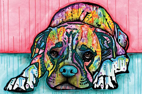 Boxers: Lying Boxer by Dean Russo