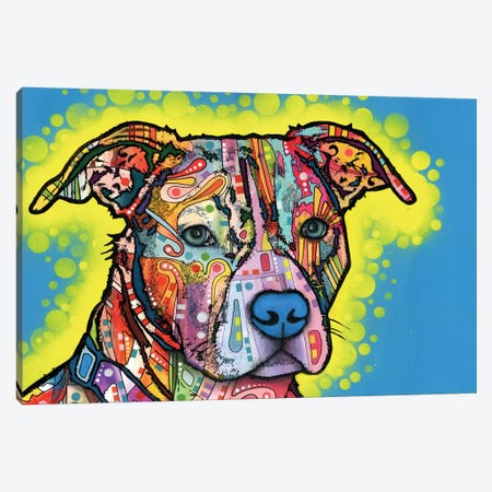 Painted Pit Canvas Print #DRO239} by Dean Russo Canvas Wall Art