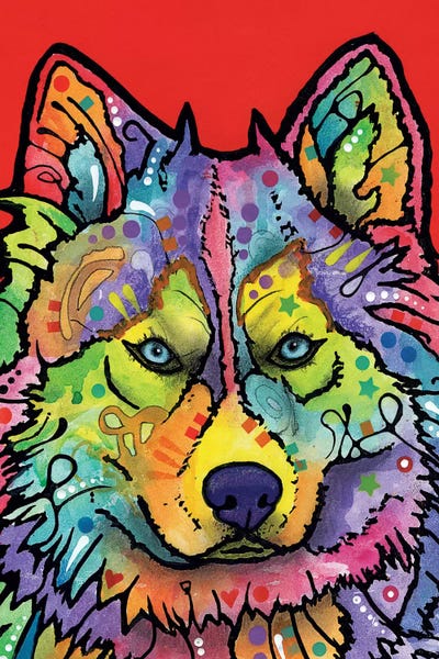 Siberian Huskies: Magua by Dean Russo