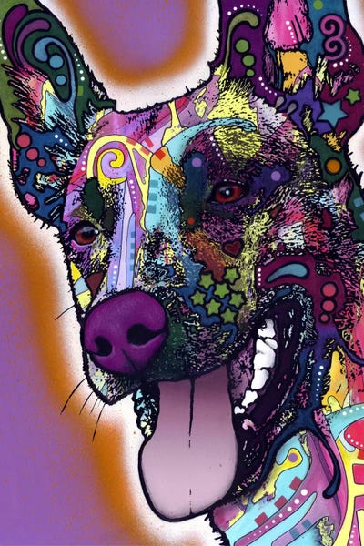 German Shepherds: Malinois by Dean Russo