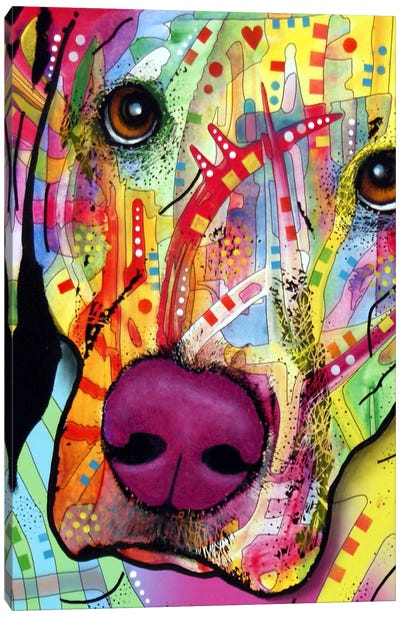 Close Up Lab Canvas Art Print - Labrador Retriever Art