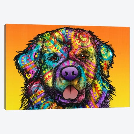 Newfie Canvas Print #DRO278} by Dean Russo Canvas Wall Art