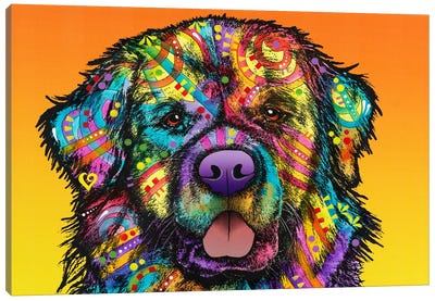 Newfie Canvas Art Print - Dog Art