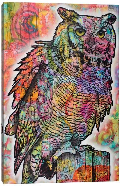 Owl Perch Canvas Art Print - Dean Russo