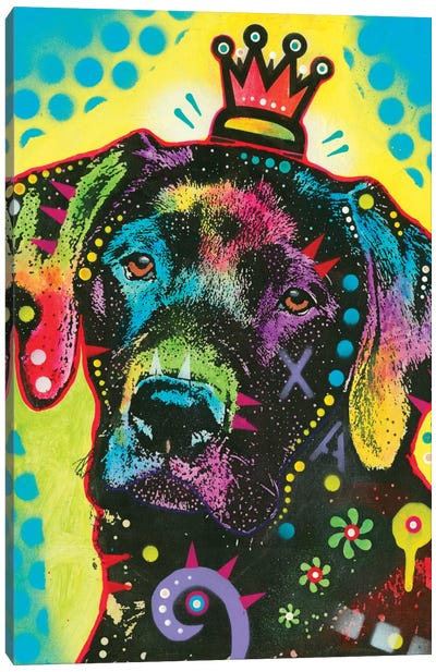 21 Canvas Art Print - Labrador Retriever Art