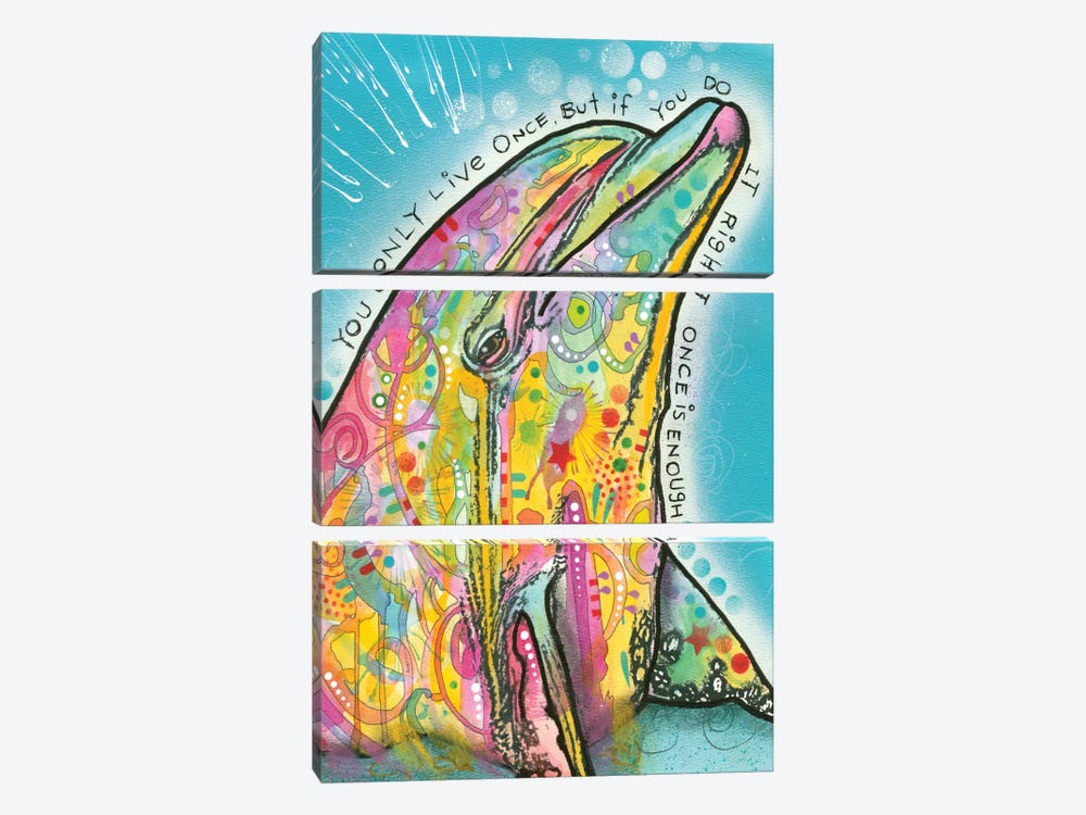 Dolphin by Dean Russo 3-piece Canvas Art Print
