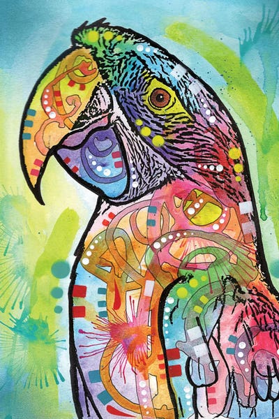 Latin Décor: Macaw by Dean Russo