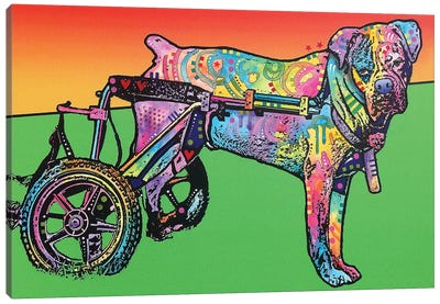 Ospa Canvas Art Print - Bulldog Art