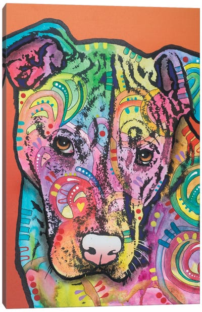 Sweetie Pie IV Canvas Art Print - American Pit Bull Terriers