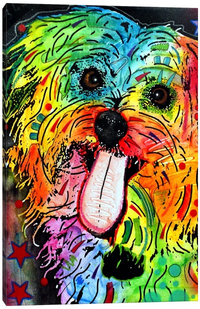 Shih Tzu Canvas Art Print - Best Selling Dog Art