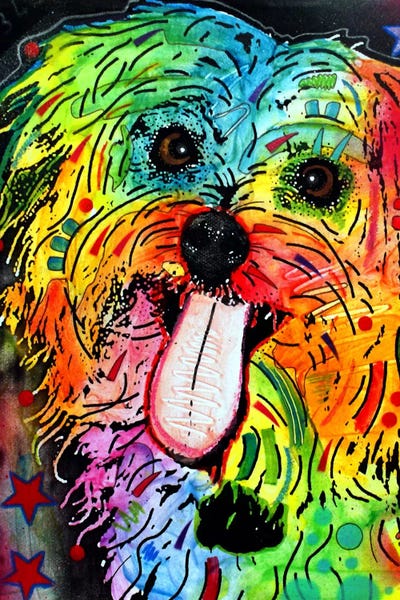 Dean Russo: Shih Tzu by Dean Russo