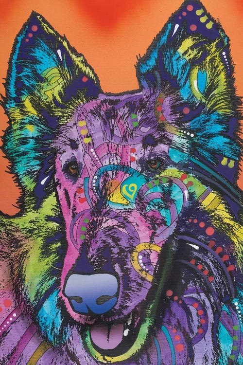 Ava, Collie