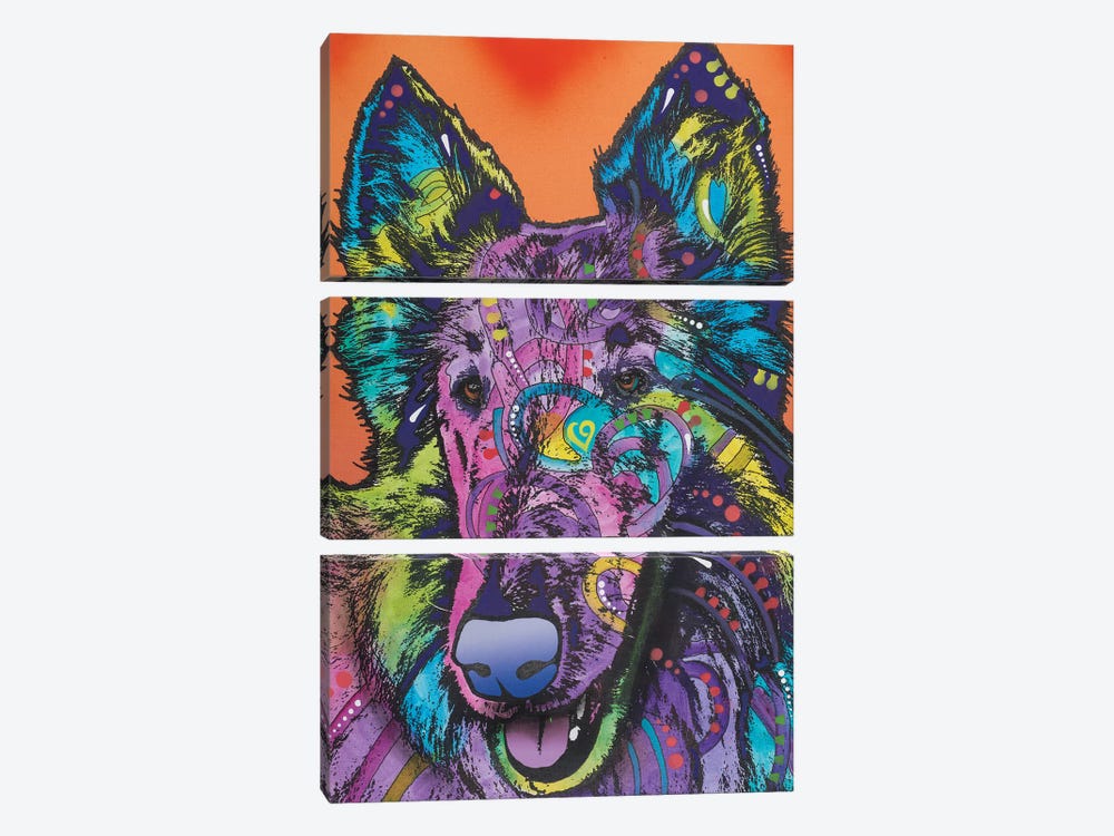 Ava, Collie by Dean Russo 3-piece Canvas Wall Art