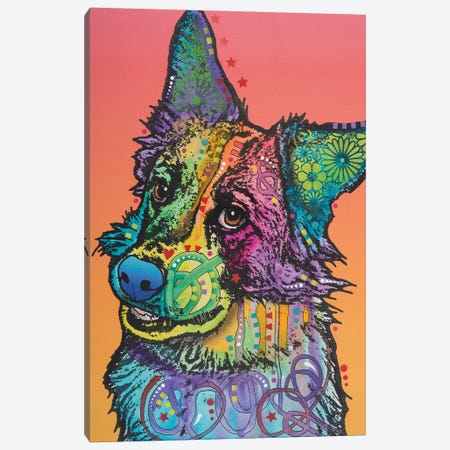 Axel, Collie Mix Canvas Print #DRO348} by Dean Russo Canvas Wall Art