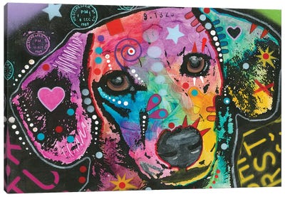 Beagle Canvas Art Print - Dean Russo