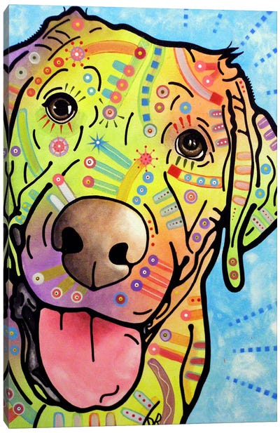 Sunny Canvas Art Print - Labrador Retriever Art