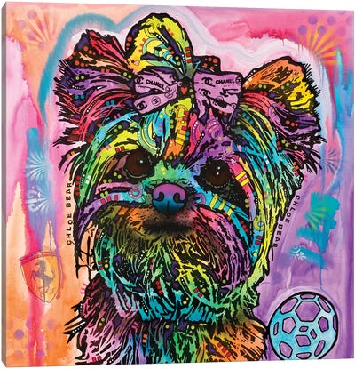 Chloe Bear Canvas Art Print - Yorkshire Terrier Art