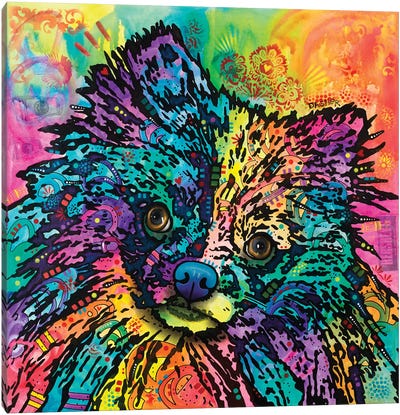 Dasher Canvas Art Print - Pet Industry