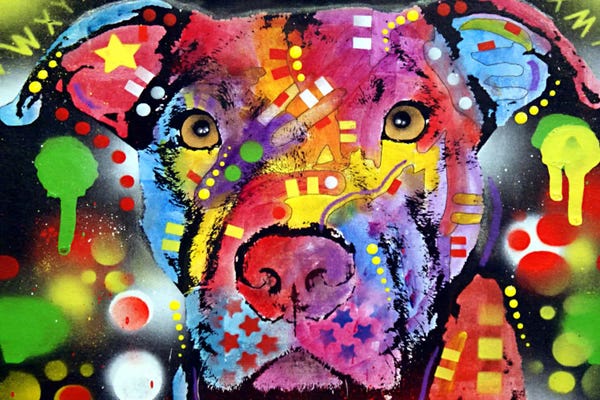 The Brooklyn Pit Bull