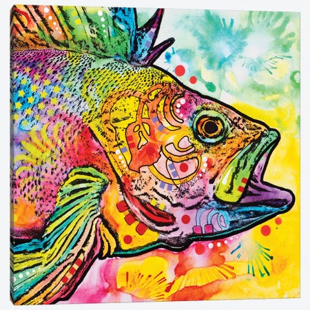 Fish Canvas Print #DRO396} by Dean Russo Canvas Wall Art