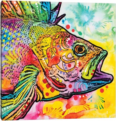 Fish Canvas Art Print - Fish Art