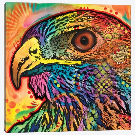 Hawk Eye Canvas Print #DRO418} by Dean Russo Canvas Wall Art