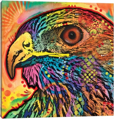 Hawk Eye Canvas Art Print - Buzzard & Hawk Art