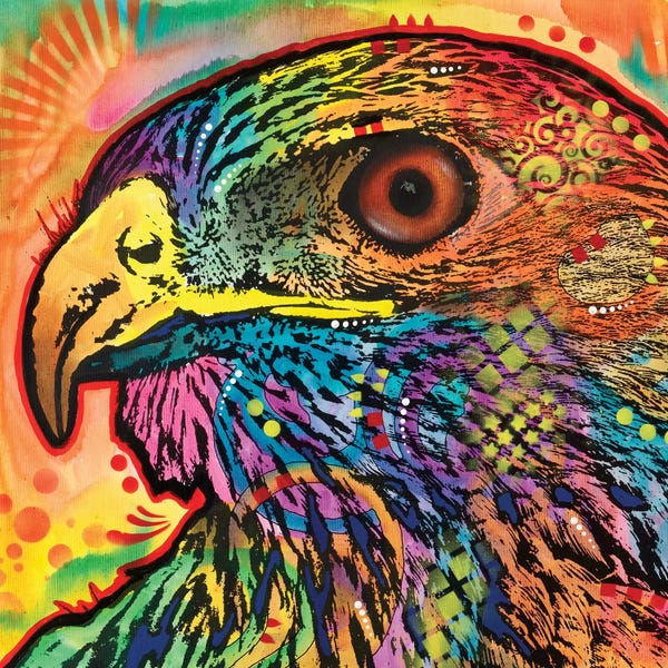 Dean Russo: Hawk Eye by Dean Russo