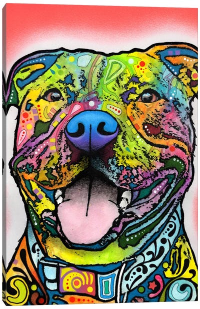 Blanche Canvas Art Print - American Pit Bull Terriers