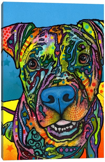Maccabee Canvas Art Print - Staffordshire Bull Terrier Art
