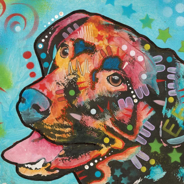 Labrador III