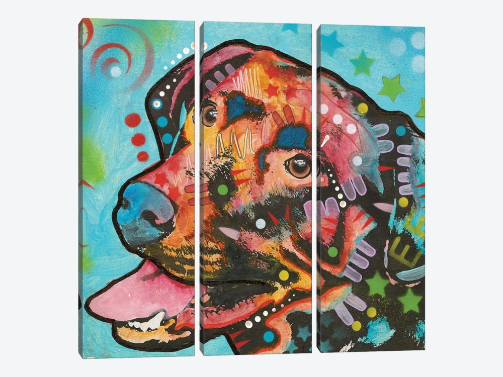 Labrador III by Dean Russo 3-piece Canvas Print