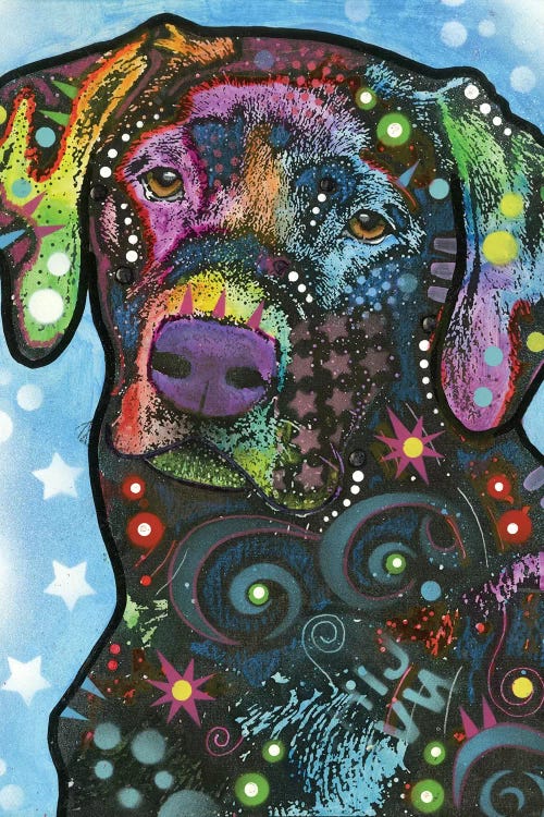 Labrador IV by Dean Russo wall art