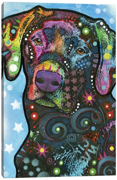 Labrador IV Canvas Art Print - Best Selling Dog Art