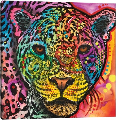 Leopard Spots Canvas Art Print - Wildlife Art