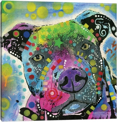 Pit Bull III Canvas Art Print - American Pit Bull Terriers