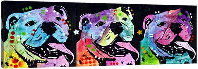 3 Bulldogs Canvas Art Print