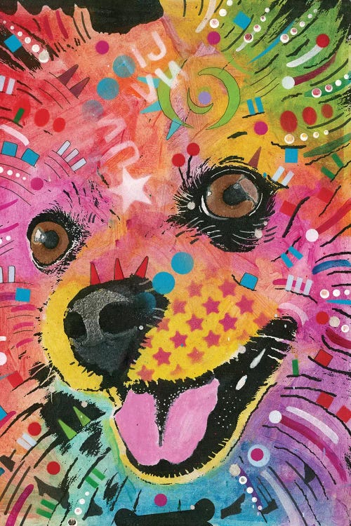 Pomeranian by Dean Russo wall art