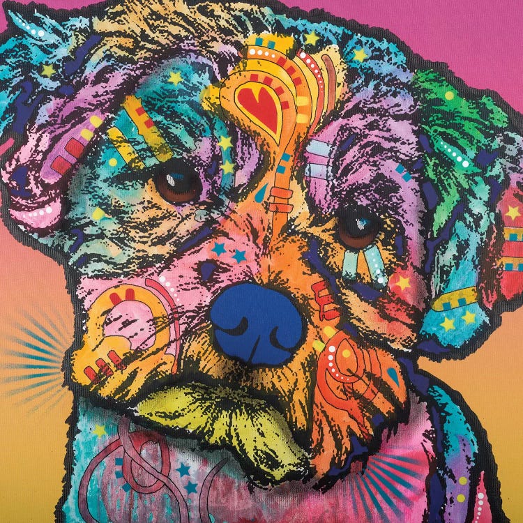 Quincy by Dean Russo wall art