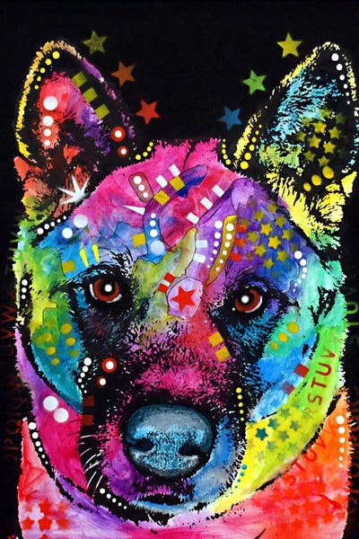 Akita