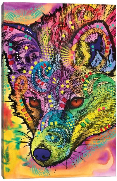 Sly As A Fox Canvas Art Print - Dean Russo