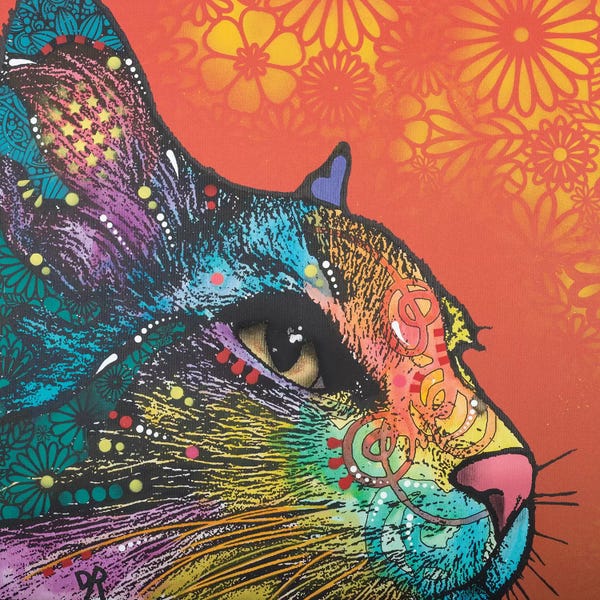 Cats: Smudge by Dean Russo