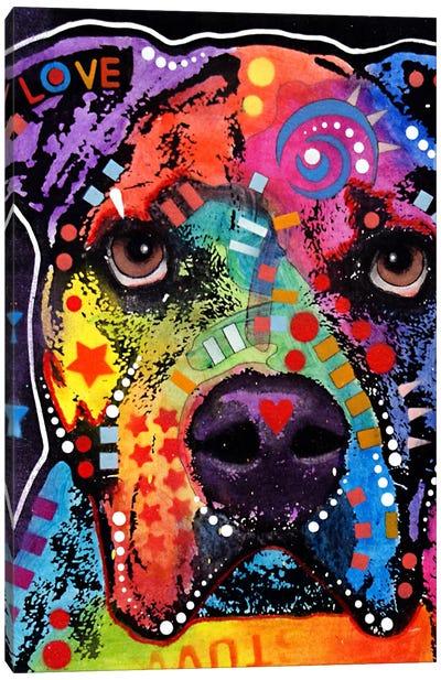 American Bulldog II Canvas Art Print - American Bulldogs