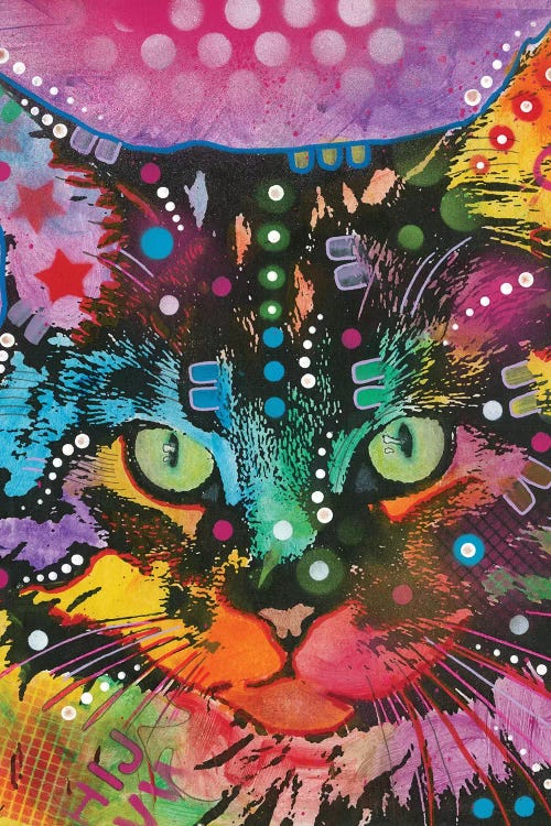 Tabby II by Dean Russo wall art