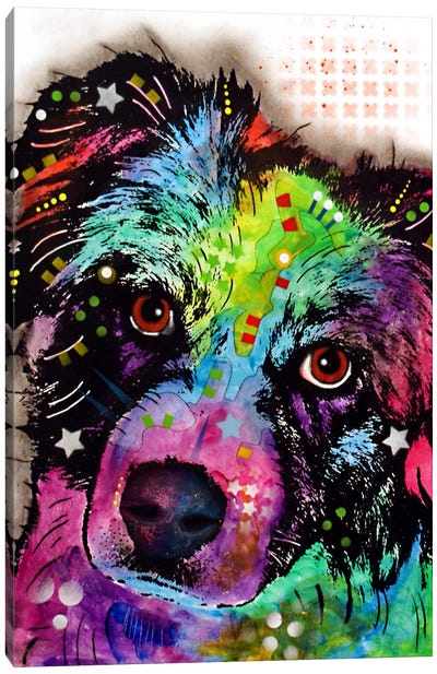 Aussie Canvas Art Print - Best Selling Dog Art